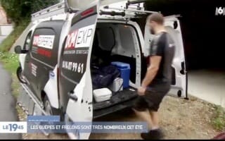 DKM Experts sur M6 pour la destruction des Nid de Guêpes en Région Rhône-Alpes