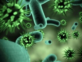 Germes et microbes
