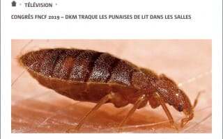 Fédération Nationale des Cinémas Français- DKM Experts traque les punaises de lit dans les salles de cinémas