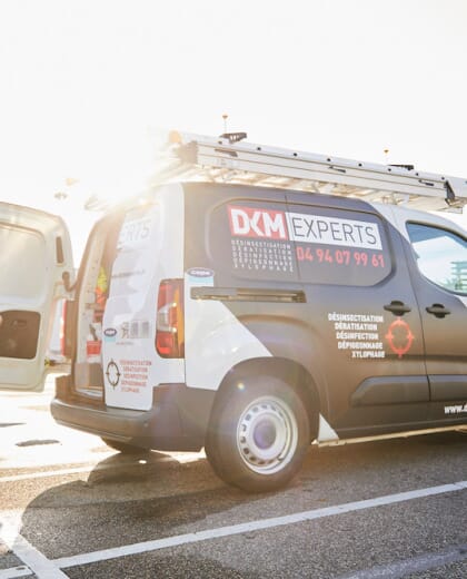Dkm Experts Deratisation Desinsectisation Desinfection