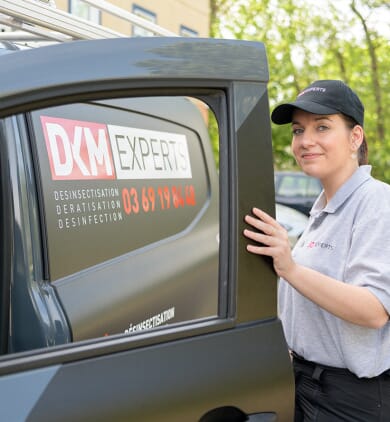 DKM Experts 