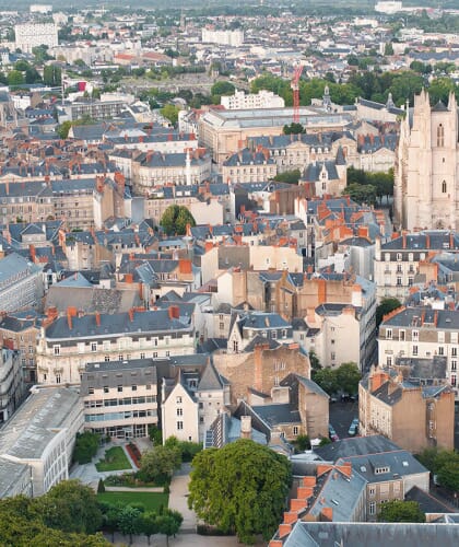 Les rats prolifèrent à Châteaubriant