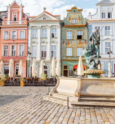 marche-public-deratisation-sanitaire