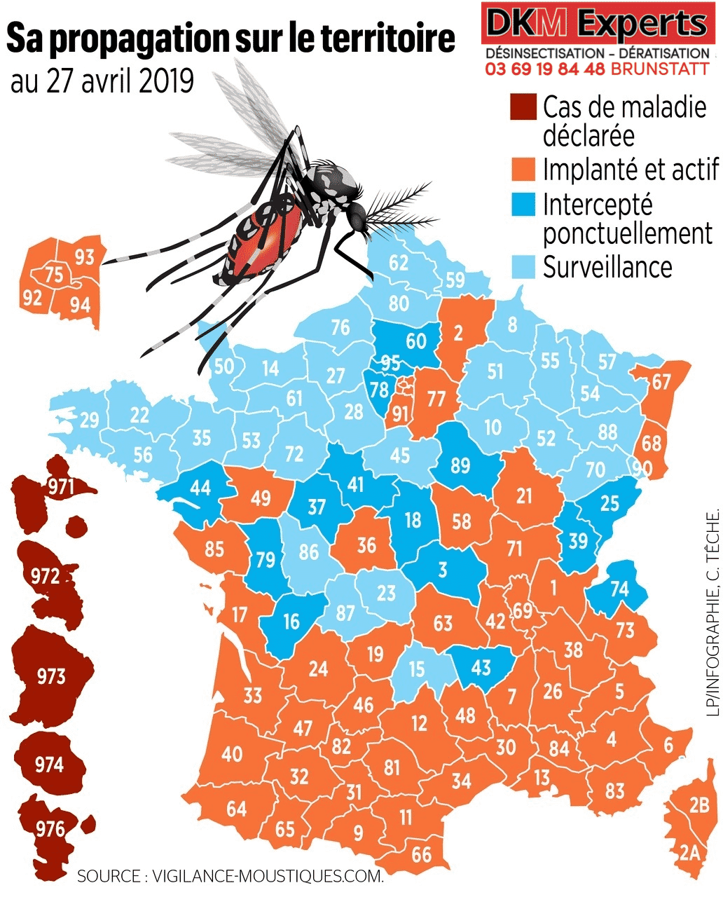 Comprendre Le Fleau Des Moustiques Tigres En France Dkm Experts